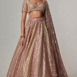 Deep Beige Metallic Lehenga Set