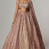 Deep Beige Metallic Lehenga Set