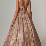 Deep Beige Metallic Lehenga Set