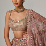 Deep Beige Metallic Lehenga Set
