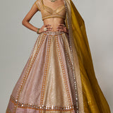 Mustard Multicolour Metallic Lehenga Set