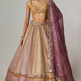 Mustard Multicolour Metallic Lehenga Set
