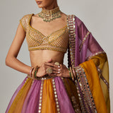 Mustard Multicolour Linear Lehenga Set