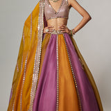 Mustard Multicolour Linear Lehenga Set