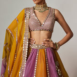 Mustard Multicolour Linear Lehenga Set