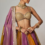 Mustard Multicolour Linear Lehenga Set