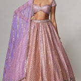 Lilac Multicolour Metallic Lehenga Set