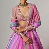 Mauve Multicolor Lehenga Set