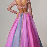 Mauve Multicolor Lehenga Set