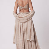 Light Beige Georgette Lehenga Pants Set