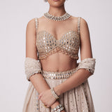 Light Beige Georgette Lehenga Pants Set