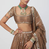Copper Shimmer Organza Sequins Lehenga Set