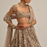 Ash Pink Dense Cutwork Lehenga Set