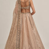 Beige Sequins Lehenga Set