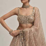 Beige Sequins Lehenga Set