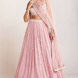 Powder Pink Dense Pearl Lehenga