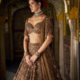 Bronze Tissue Lehenga Set