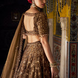 Bronze Tissue Lehenga Set