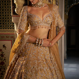 Gold Crystal Lehenga Set