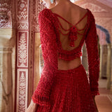 Red Cut Work Lehenga Set