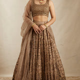 Brown Organza Lehenga Set