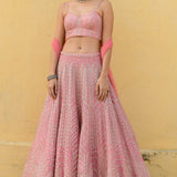 DEMI Lehenga