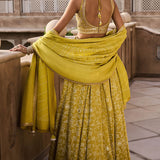 Nartakee Lehenga - Lime